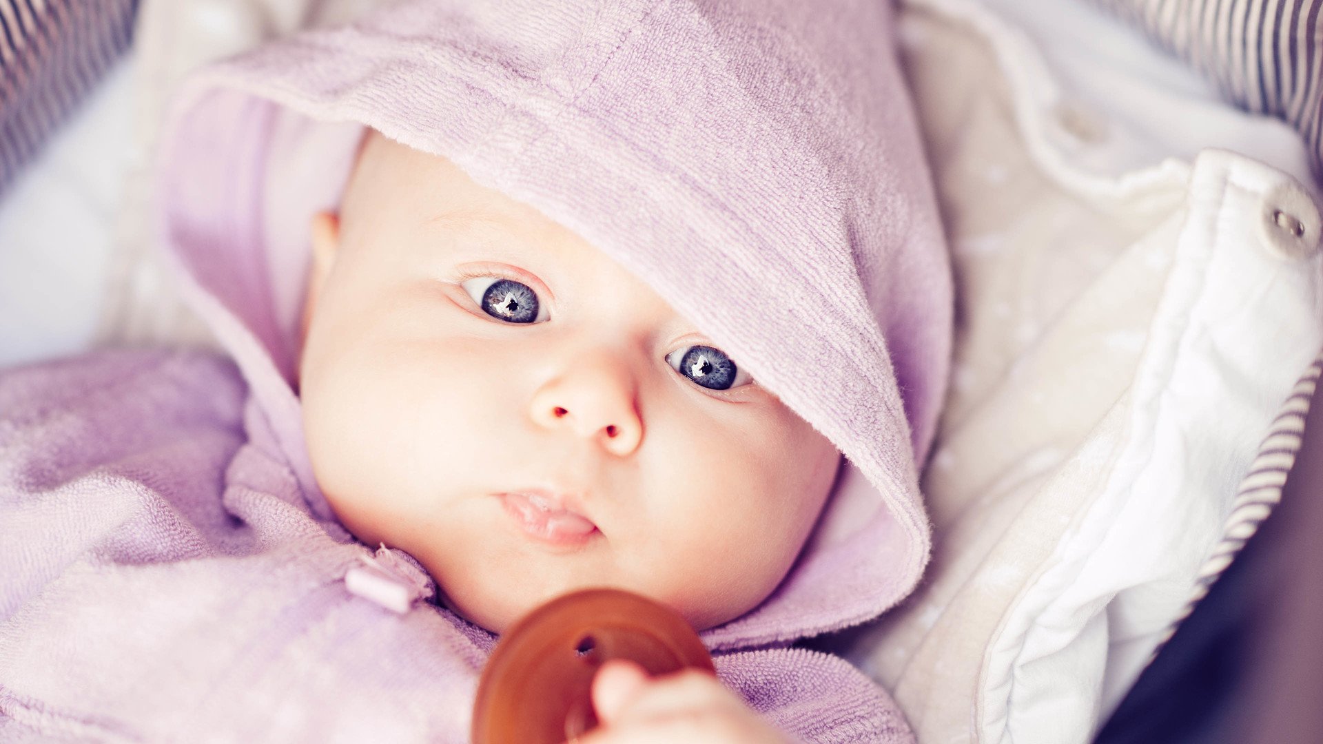 温州捐卵子电话试管婴儿短期方案的卵泡